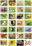 Belohnungsaufkleber Tiere - 28 Sticker auf einem Bogen (SV004) Belohnungsaufkleber Tiere - 28 Sticker auf einem Bogen (SV004)