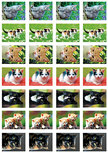 Belohnungsaufkleber Katzen - 28 Sticker auf einem Bogen (SV008) Belohnungsaufkleber Katzen - 28 Sticker auf einem Bogen (SV008)
