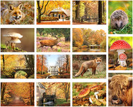 Herbst Postkarten Set - 15 Postkarten mit Herbstmotive Herbst Postkarten Set - 15 Postkarten mit Herbstmotive