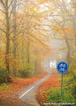 Fahrradweg im Herbst Postkarte Fahrradweg im Herbst Postkarte