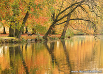 Postkarte bank in Herbst (0601) Postkarte bank in Herbst (0601)