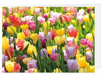 Grußkarte Blumen - leere Karte mit Umschlag (W005) Grußkarte Blumen - leere Karte mit Umschlag (W005)