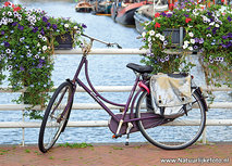 Fahrrad Postkarte (0664) Fahrrad Postkarte (0664)