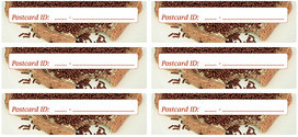 Postcrossing Postcard ID stickers - 6x Streusel-Sandwich Postcrossing Postcard ID stickers - 6x Streusel-Sandwich