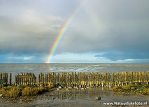 Postkarte Regenbogen (0674) Postkarte Regenbogen (0674)