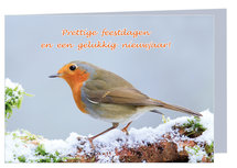 Weihnachtskarten Rothkelchen (K001) Weihnachtskarten Rothkelchen (K001)