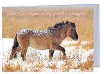 Weihnachtskarte Konik Pferd im Schnee (K003) Weihnachtskarte Konik Pferd im Schnee (K003)