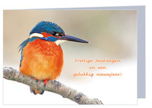 Weihnachtskarten Eisvogel (K004) Weihnachtskarten Eisvogel (K004)