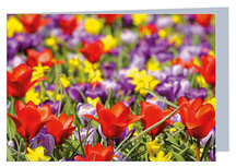 Grußkarte Blumen - leere Karte mit Umschlag (W016) Grußkarte Blumen - leere Karte mit Umschlag (W016)