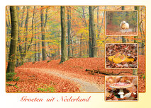 Postkarte groeten uit Nederland (AH0023) Postkarte groeten uit Nederland (AH0023)
