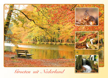 Postcrossing Postkarten top 100 | Postkarte groeten uit Nederland Herbst Postcrossing Postkarten top 100 | Postkarte groeten uit Nederland Herbst