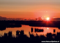 Sonnenuntergang Leekstermeer Postkarte Sonnenuntergang Leekstermeer Postkarte