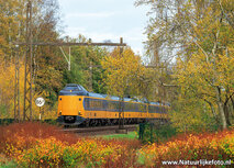 Eisenbahn Postkarten | NS Zug im Herbst Postkarte Eisenbahn Postkarten | NS Zug im Herbst Postkarte