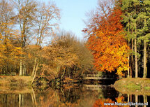 BrĂĽcke in Herbst Postkarte (0077) BrĂĽcke in Herbst Postkarte (0077)