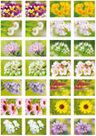 Belohnungsaufkleber Blumen kaufen - 28 Sticker auf einem Bogen Belohnungsaufkleber Blumen kaufen - 28 Sticker auf einem Bogen