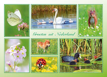 Postkarte groeten uit Nederland FrĂĽhling (AH0028) Postkarte groeten uit Nederland FrĂĽhling (AH0028)