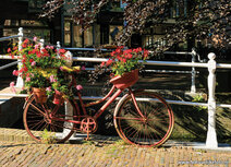 Fahrrad Postkarten |Fahrrad mit Blumen Postkarte
