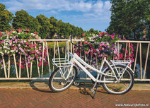 Fahrrad Postkarten | Fahrrad mit Blumen Postkarte