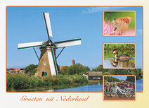 Postcrossing Postkarten | Postkarte groeten uit Nederland 034