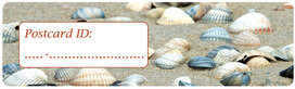 Postcrossing ID stickers | 6x Muscheln Postcrossing ID stickers | 6x Muscheln