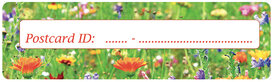 Postcrossing ID stickers | 6x Wildblumen Postcrossing ID stickers | 6x Wildblumen