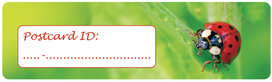 Postcrossing ID stickers | 6x Marienkäfer Postcrossing ID stickers | 6x Marienkäfer