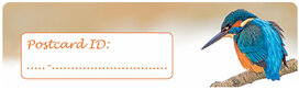 Postcrossing ID stickers | 6x Eisvogel Postcrossing ID stickers | 6x Eisvogel