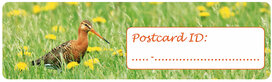 Postcrossing ID stickers | 6x Uferschnepfe Postcrossing ID stickers | 6x Uferschnepfe