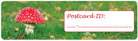 Postcrossing ID stickers | 6x Pilz Postcrossing ID stickers | 6x Pilz