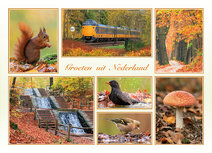 Postcrossing Postkarten top 100 | Postkarte groeten uit Nederland Herbst