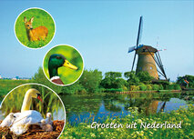 Postcrossing Postkarten | Groeten uit Nederland # 003 Postkarte