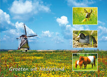 Postcrossing Postkarten | Groeten uit Nederland #004 Postkarte 