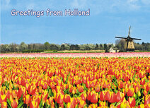 Postcrossing Postkarten | Holland 006 Postkarte