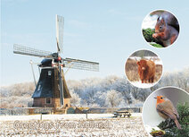 Postcrossing Postkarten | Greetings from Holland 007 Postkarte