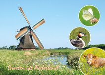 Postkarte groeten uit Nederland