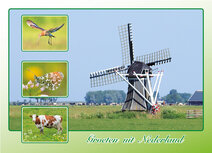 Postkarten für Postcrossing | groeten uit Nederland Frühling Postkarte