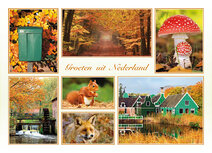 Postcrossing Postkarten | groeten uit Nederland Herbst Postkarte