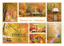Postcrossing Postkarten | groeten uit Nederland Herbst Postkarte
