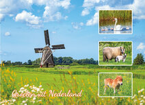 Postcrossing Postkarten | groeten uit Nederland Frühling Postkarte