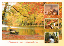Postcrossing Postkarten top 100 | Postkarte groeten uit Nederland Herbst
