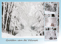 Postkarte Veluwe in winter Postkarte Veluwe in winter