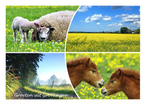 Postkarten Groningen | Postkarte grüße aus Groningen 005