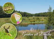 Postkarten Drenthe | Postkarte Grüße aus Drenthe 004