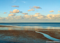 Welterbe Postkarten | Wad Postkarte