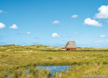 Landschaft Postkarten | Schafhütte Postkarte