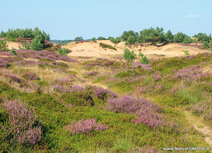 Landschaft Postkarten | Aekingerzand Postkarte