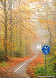 Fahrradweg im Herbst Postkarte