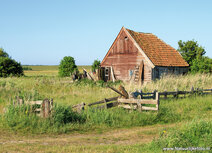Landschaft Postkarten | Schaffarm auf Texel Postkarte