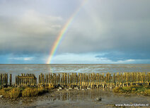 Natur Postkarten | Regenbogen Postkarte