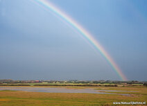 Landschaft Postkarten | Regenbogen Postkarte